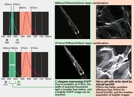 Advantage of 473nm and 559nm diode lasers.